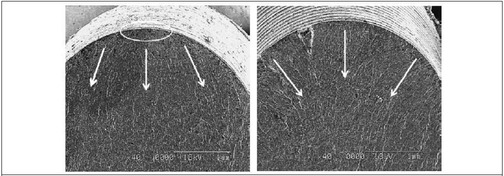 (좌) SEM image, No treatment; 268 MPa, 3.72x106 cycle (우) SEM image, No treatment; 305 MPa, 2.08x105 cycle