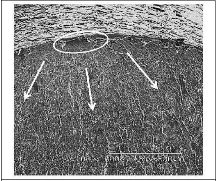 SEM image, peening; 303.68MPa, 1.79x107 cycle