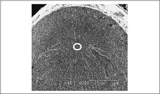 SEM image, 800 ℃ laser heat treatment and peened; 308.5MPa, 6.59x108 cycle