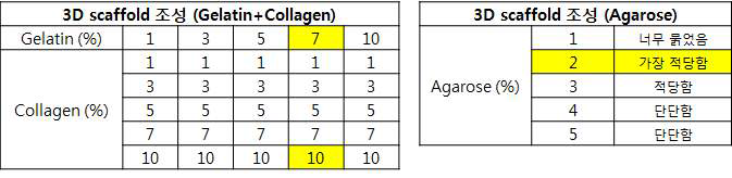 3D scaffold 조성 확립을 위한 실험 결과