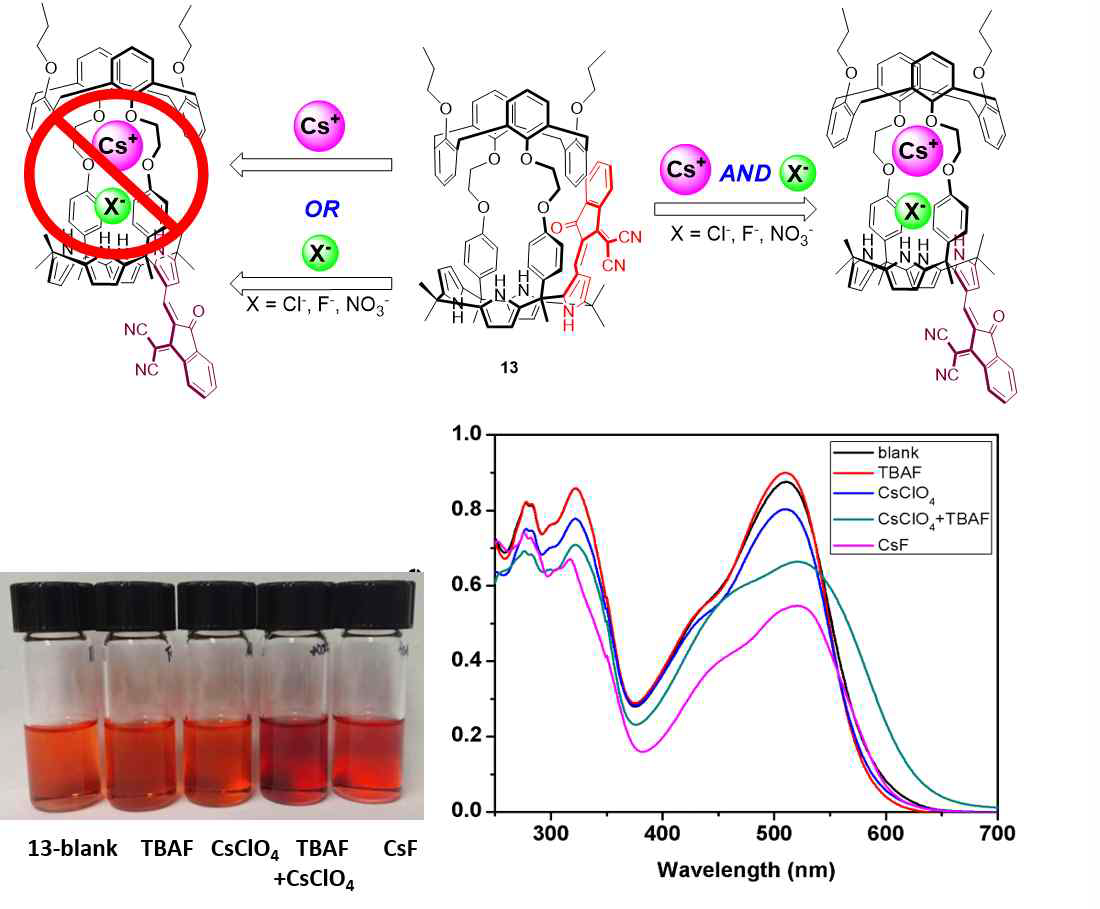 발색성 이온쌍 수용체 13의 세슘 염 결합 방식(상) 및 세슘 염에 의한 색깔 변화(하). 용매: CH3OH/CHCl3 (1/9, v/v)