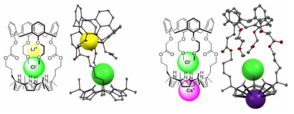 이온쌍 수용체 5의 LiCl 착물(좌)과 CsCl 착물(우)의 X-선 결정 구조