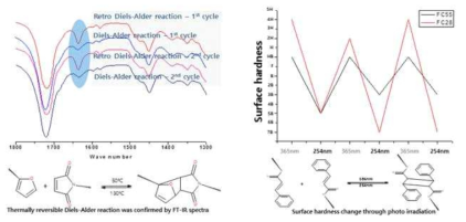 Diels-Alder 반응과 [2+2]cycloaddition반응의 가역성 확인