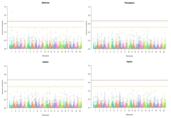 야생콩 핵심집단 아미노산 함량 GWAS 분석 (Manhattan plot)