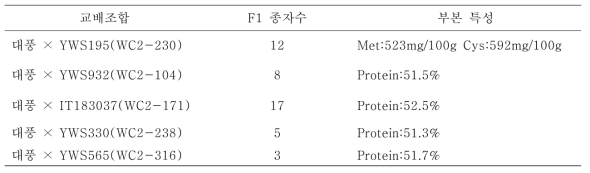 야생콩 교배집단 구축 현황