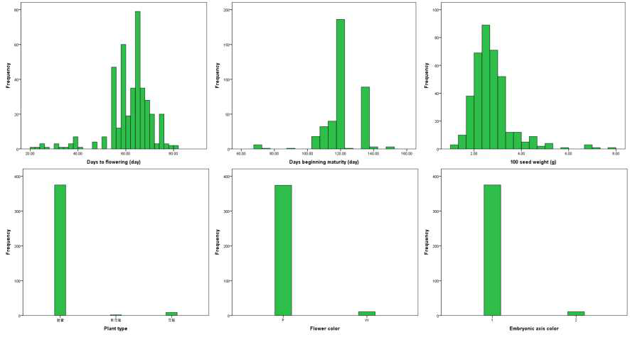 야생콩 핵심집단 ver.2 에서 개화기, 등숙기, 100립중, 초형, 화색, 및 배축색 빈도 분포