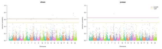 야생콩 핵심집단 단백질 및 지방 함량 GWAS 분석 (Manhattan plot)