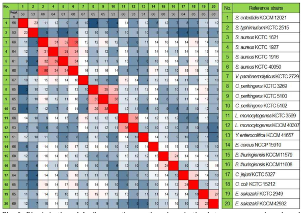 Discrimination of foodborne pathogens through evaluation between mass peaks anlayzed by MALDI-TOF mass spectrometry. Each column and row refers to one strain