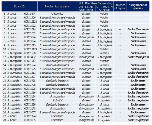 Validation of Bacillus cereus group strains and related species using biochemical, transmission electron microscope analysis, and 16S rRNA gene sequencing