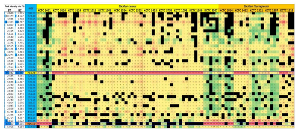 Heat map of the small molecule mass peaks derived from B.cereus (n = 12) and B.thuringiensis (n = 5) in the low mass range (500–3000 m/z)