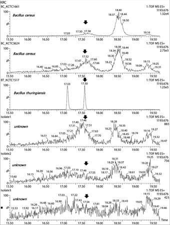 Evaluation and application of the biomarker at 1193.676 m/z to classify B. cereus and B. thuringiensis