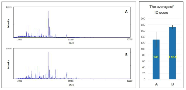 Comparison of MALDI-TOF mass spectrum and the average of ID score from Bacillus cereus on MYP media using (a) general smear method and (b) on-target lysis method