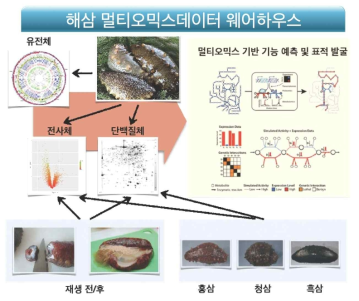 해삼의 멀티오믹스 연구를 위한 데이터웨어하우스