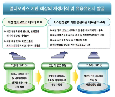 본 연구 계획단계의 연차별 연구목표