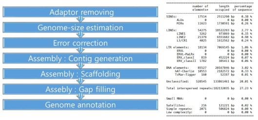 유전체 de novo genome assembly 분석 프로토콜(좌)과 해삼의 Repeat masker 분석결과(우)