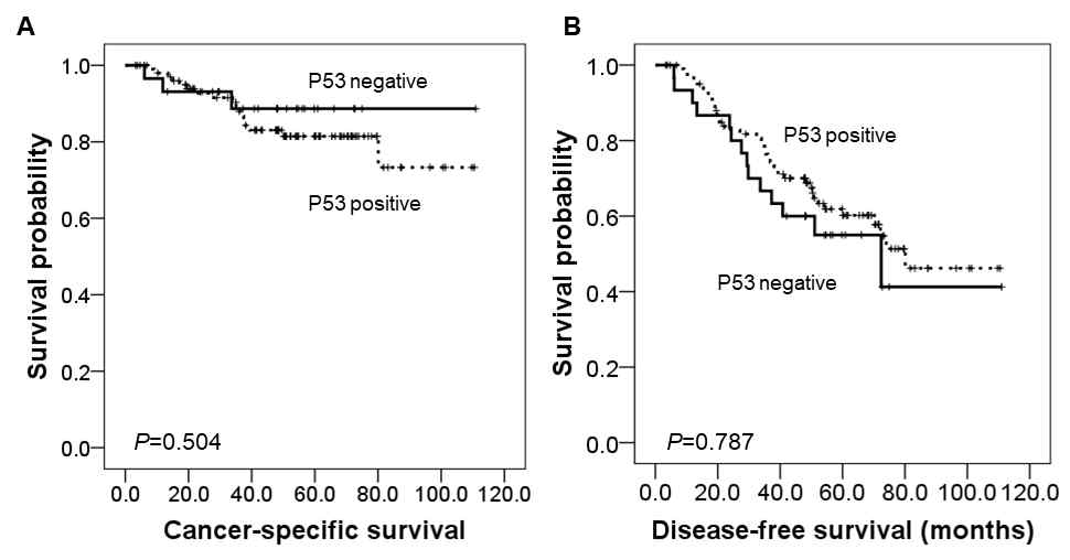 Kaplan-Meier survival curve