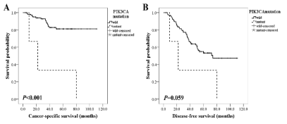 Kaplan-Meier survival curve