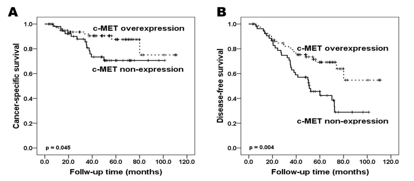 Kaplan-Meier survival curve