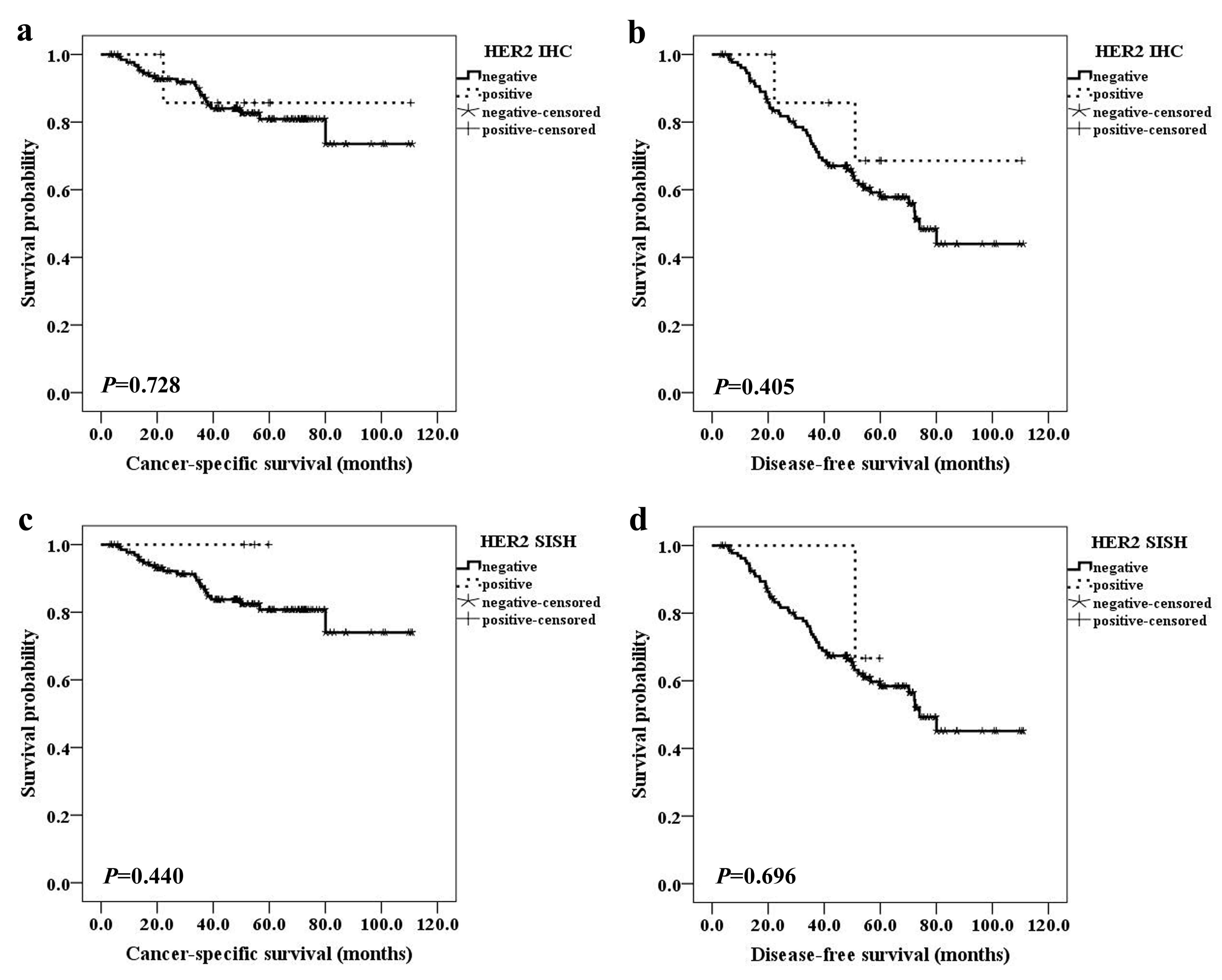 Kaplan-Meier survival curve