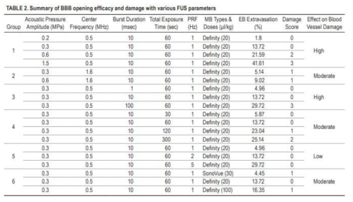 다양한 초음파 파라미터 별 뇌혈관장벽 투과도와 조직 손상정도의 정량적 비교
