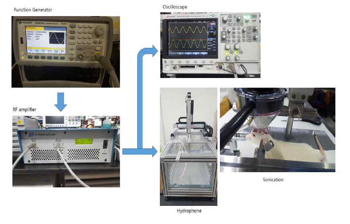 초음파 시스템 모식도