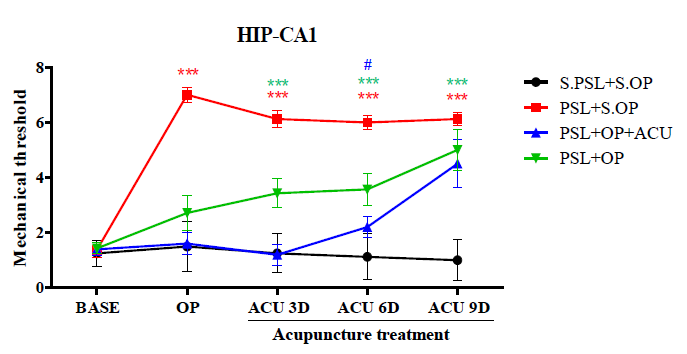 HIP-Ca1을 파괴하였을 시 침 자극에 의한 진통효과 및 대조군과의 비료 결과(Von frey filament test), HIP-CA1, ***p<0.001 vs. S.PSL+S.OP, #p<0.005 vs. PSL+OP