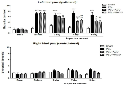 양릉천-환도 경혈에 manual rotation과 전동침 자극을 비교한 결과 (Left) 및 대측 실험 결과 (Right). *p<0.05, **p<0.01, ***p<0.001 vs. Sham, ##p<0.01, ###p<0.001 vs. PSL