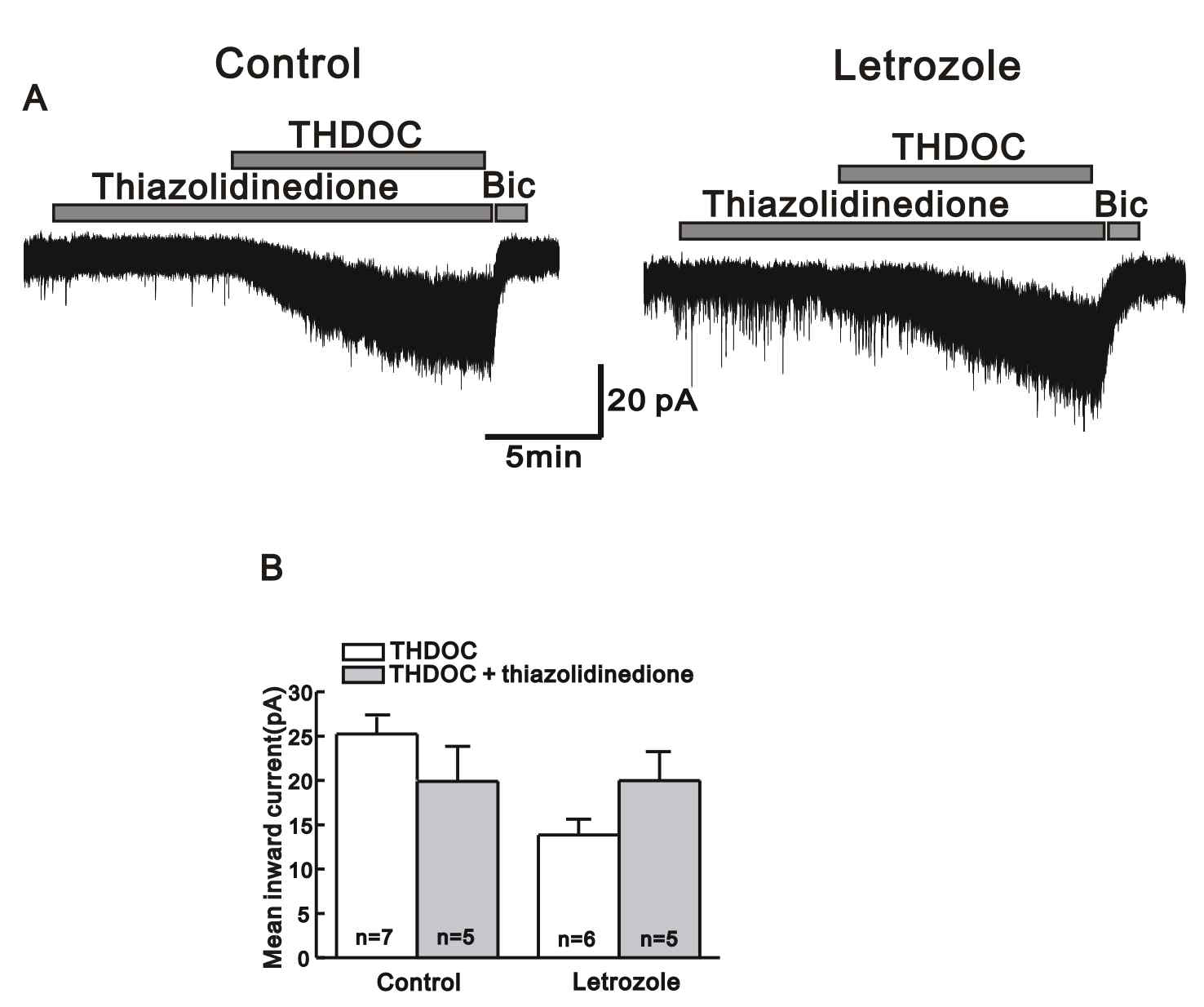 Thiazolidinedione이 정상 군과 PCOS 군 GnRH 신경세포에서 THDOC 매개 긴장성 GABA 전류에 미치는 영향