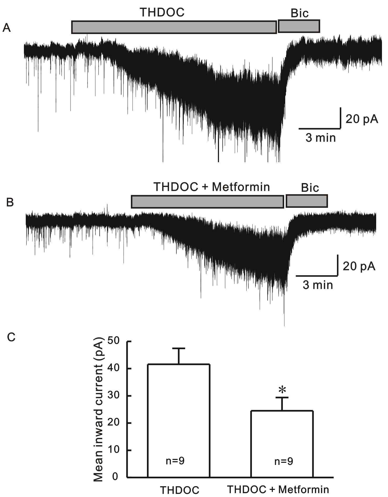 Metformin이 GnRH 신경세포에서 THDOC 매개 긴장성 GABA 전류에 미치는 영향