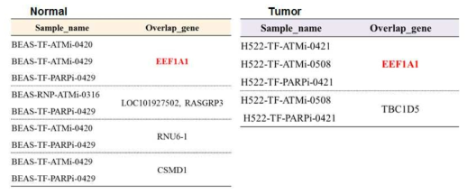 폐암 세포주에서 확보된 in vitor 샘플에서 In-house 파이프라인을 통해 일차로 분석된 ALK fusion partner 유전자