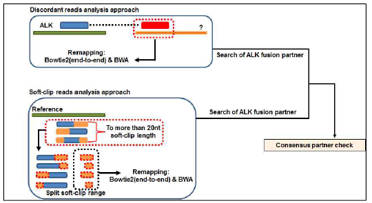 DNA translocation events detection workflow
