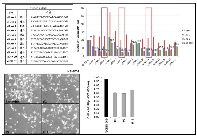 SS18-SSX 융합유전자 특이적 siRNA 후보군을 16 종류 선별한 후 mRNA 발현 및 세포 증식능력의 감소에 효과적인 3 종류 siRNA를 특허 출원