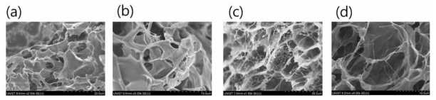 SEM으로 촬영한 나노섬유를 함유한 하이드로젤. (a) 0 mg/mL, (b) 10 mg/mL, (c) 20 mg/mL (d) 30 mg/mL
