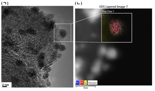 Pt0.2-Pt0.2 촉매의 (ㄱ) 전자현미경 이미지와 (ㄴ) EDS 맵핑 결과