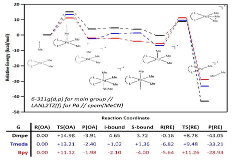 DFT-calculated reaction energy profiles