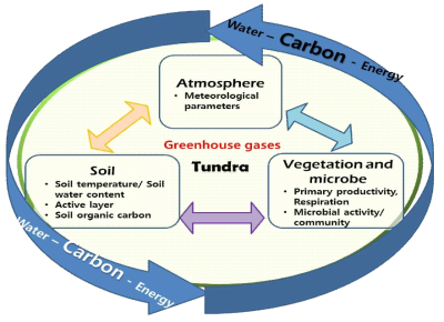 툰드라 생태계에서의 탄소순환