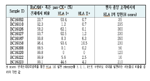 종양세포의 HLA 발현 분석