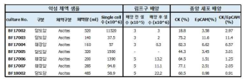 악성 체액으로부터 종양 세포의 배양