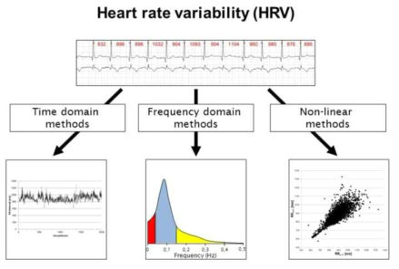심박수 변이도의 분석방법