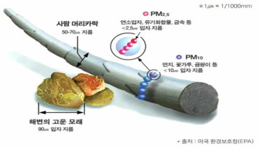 미세먼지 입자 크기