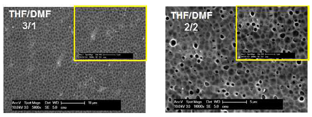 다공성 PS 박막의 FE-SEM 사진