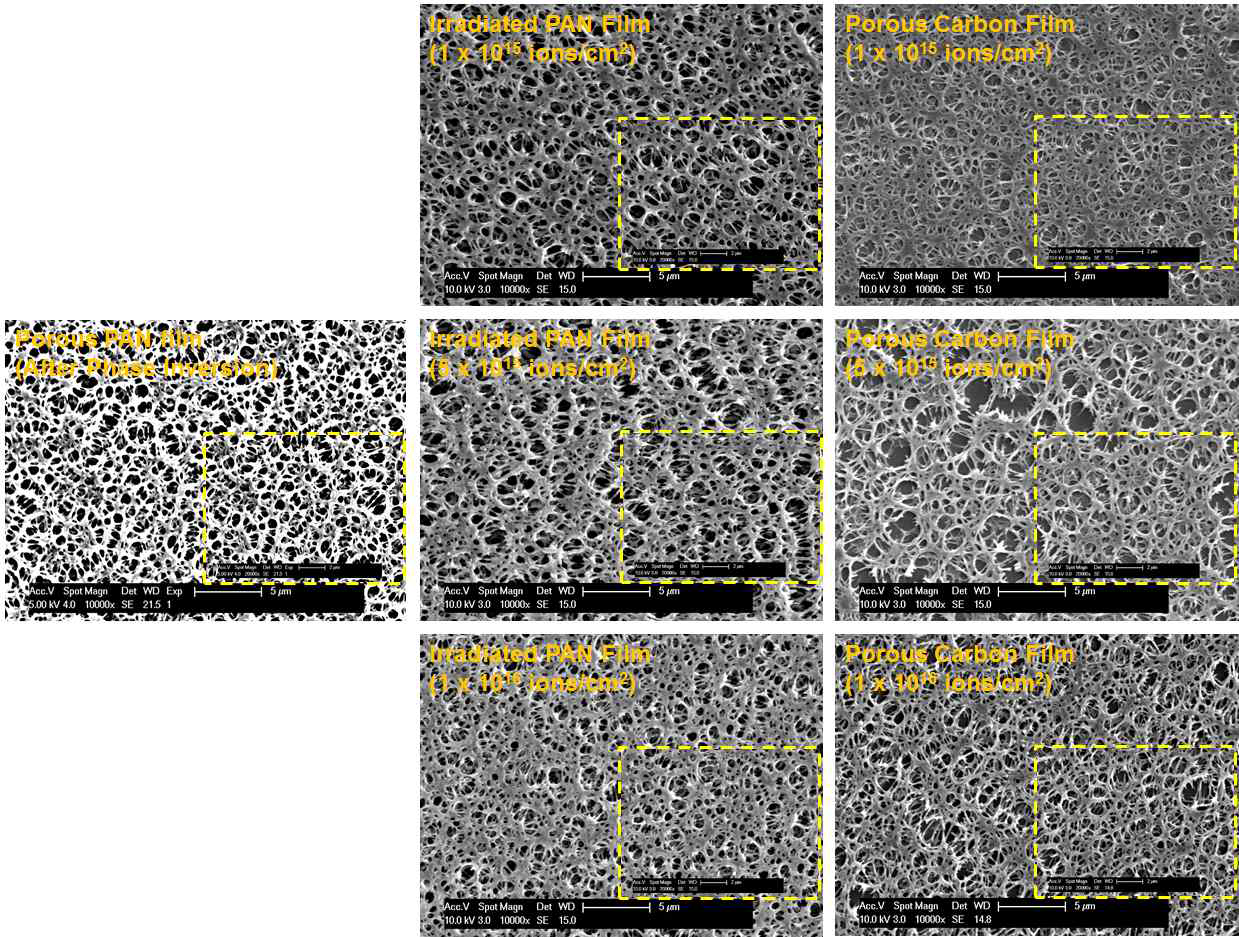 Freeze-Gelation, 이온빔 조사 및 탄화 후 FE-SEM 사진