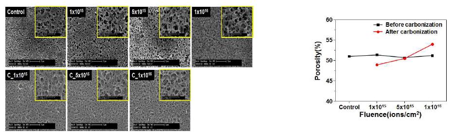 다공성 PAN 멤브레인, 이온빔 조사 및 탄화 후 FE-SEM 사진(좌); 이온빔 조사량에 따른 기공도 변화(우)