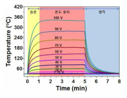 이온빔 조사 후 탄화된 탄소 미세패턴의 시간-온도 곡선