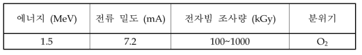 전자빔 조사 조건