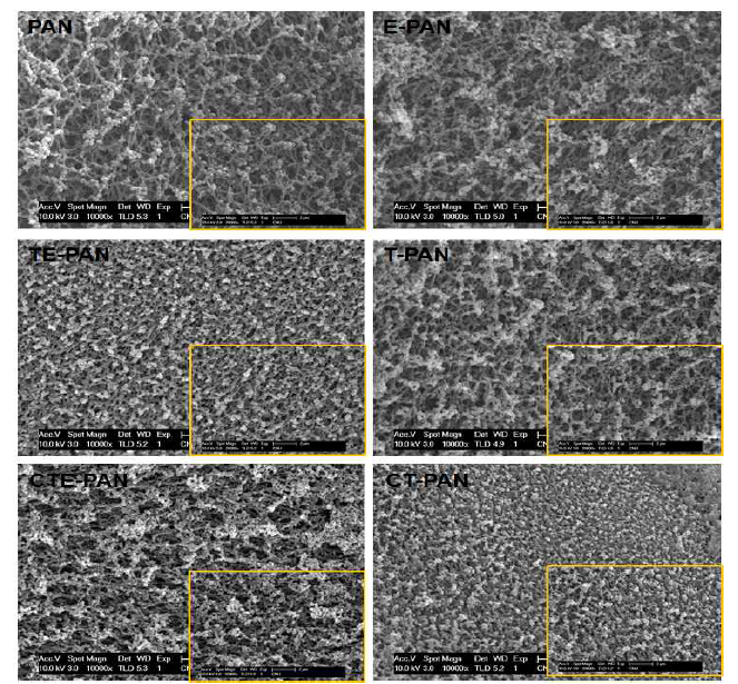 각 과정에서의 FE-SEM 사진