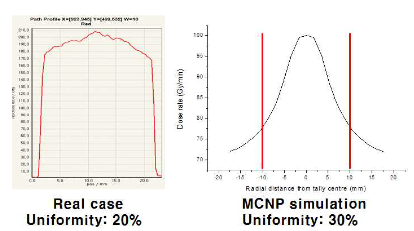 실제 선량 분포 그래프와 MCNP 코드를 통해 얻은 선량 분포 그래프