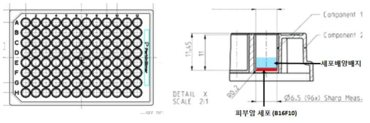 세포가 배양되는 플레이트