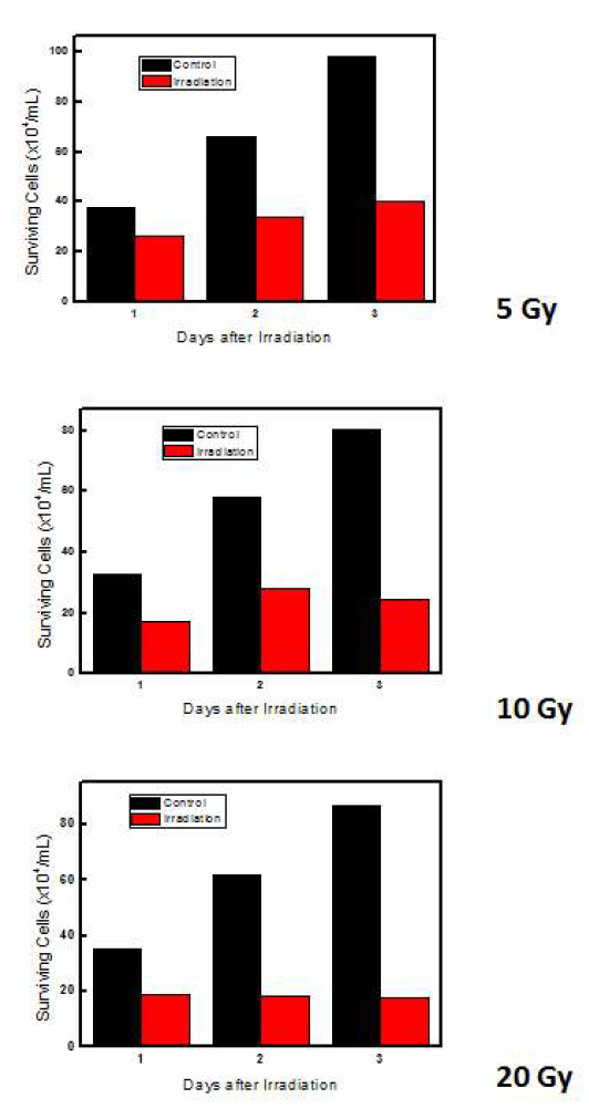 5 Gy, 10 Gy, 20 Gy에서 경과 일에 따른 세포 수 측정 결과