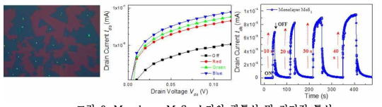 Monolayer MoS2 소자의 광특성 및 전기적 특성